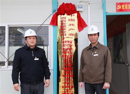 發(fā)揮戰(zhàn)斗堡壘作用！冶建又一個項目部黨支部揭牌