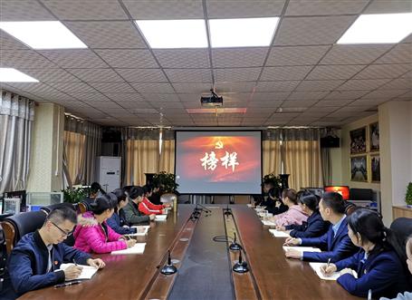 向榜樣看齊，做合格黨員