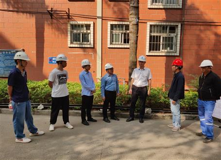 何勇、韋克雪到柳州市城市更新項目進行調(diào)研指導(dǎo)工作